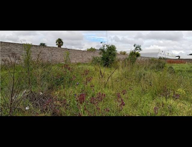 LAND FOR SALE IN GLEN AUSTIN